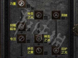 万王之王3D圣骑士技能攻略：深度解析圣骑士技能组合与推荐