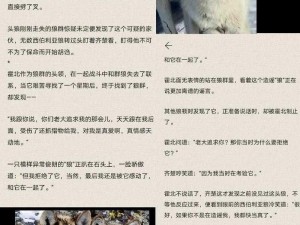 万物皆可拴二哈：揭秘二哈梗背后的故事与现象分析