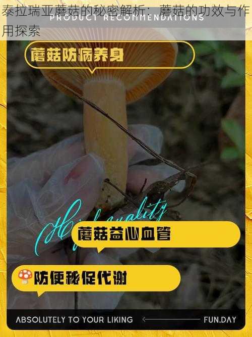 泰拉瑞亚蘑菇的秘密解析：蘑菇的功效与作用探索